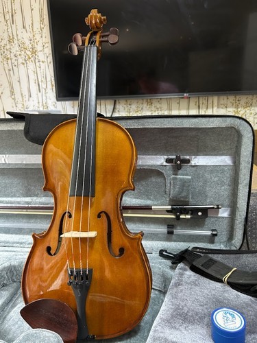 Stentor viola koffer - 15",
