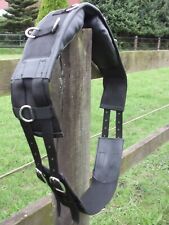 Neuer Longiergurt aus Nylon/Synthetik mit 12 Ringen Mini-Shetty- Full