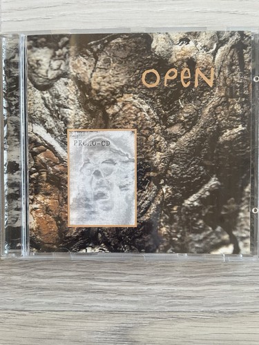 Open realization - ,