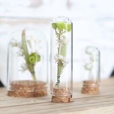 NaDeco Glasdom "Mini" mit