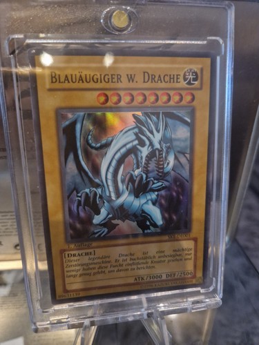 Blauäugiger weißer drache - blauäugiger, /