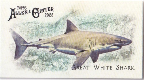 2025 topps allen ginter - topps,