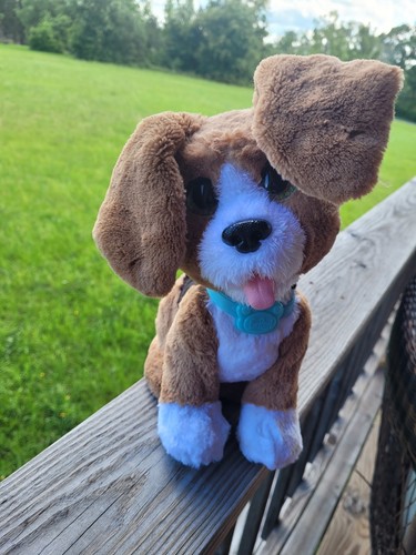Furreal friends chatty - chatty, charlie