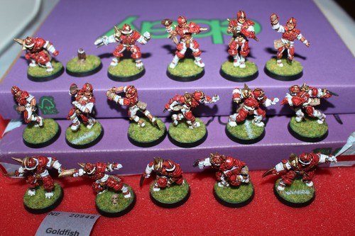 Pro painted 5th edition - 5th,