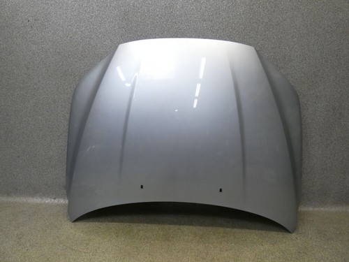 Motorhaube electric silber - electric,
