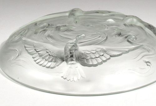 Flache glasschale frz art - flache,