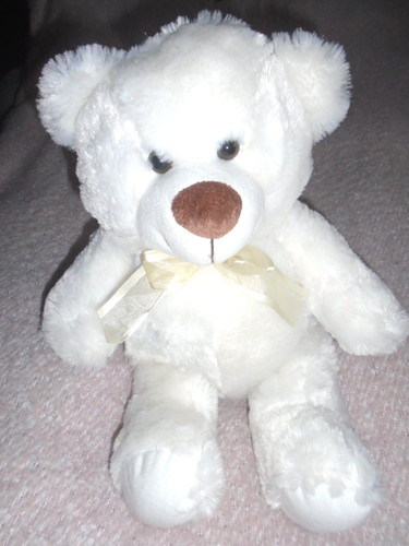 Süßer teddybär plüschbär - sÜßer,