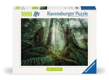 Ravensburger Puzzle 12000292 Faszinierender Wald 1000 Teile 14+