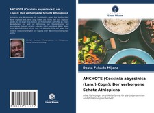 Desta Fekadu Mijena | ANCHOTE