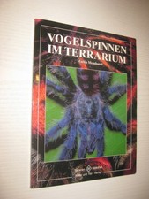 Vogelspinnen im Terrarium von
