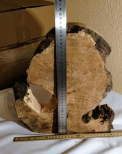 Olivenholz Wurzelholz Block Bohle Kantel Epoxid Skulptur