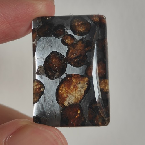 Sericho pallasit meteorit aus - sericho,