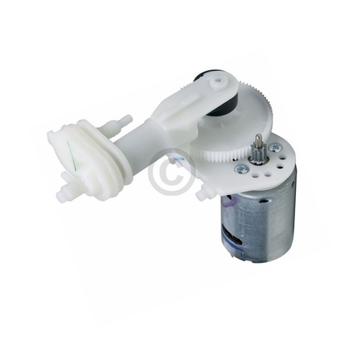 Pumpe braun 81626034 für - pumpe,