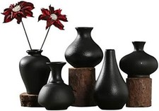 Sziqiqi Kleine Schwarze