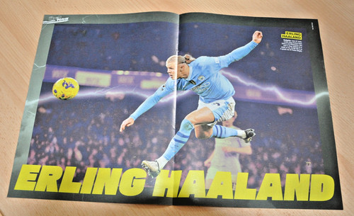 Poster erling haaland - erling,