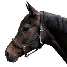 Lederhalfter contess - lederhalfter, "contess"
