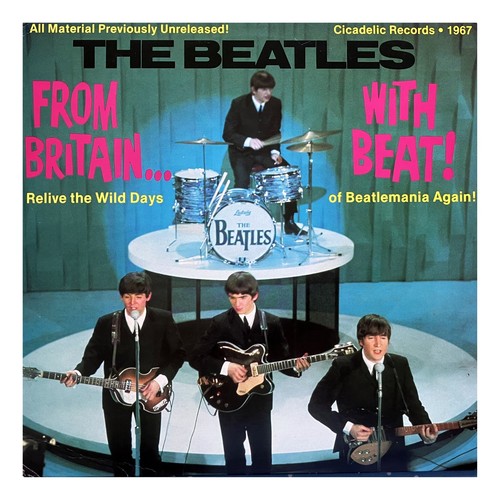 Vinyl the beatles - lp,