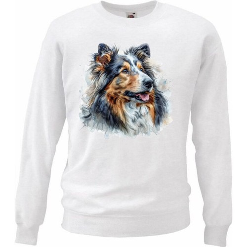 Sweatshirt sweater - sweatshirt,