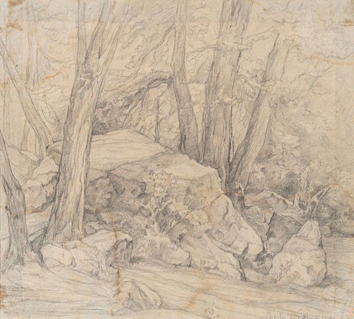 Felsen wald bleistift - felsen,