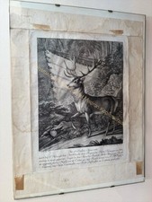 orig. Kupferstich Johann Elias Ridinger Hirsch um 1740 Jagd 48x36cm