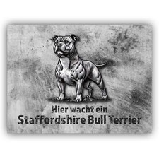 Staffordshire Bullterrier