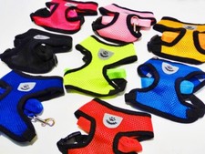 Welpen Geschirr Hundegeschirr