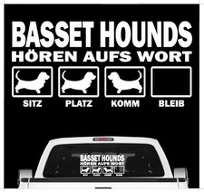 Basset Hound Hört aufs Wort
