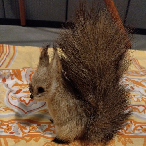 Handgemachte eichhörnchen - handgemachte,