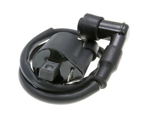 Zündspule mit kerzenstecker - zündspule,