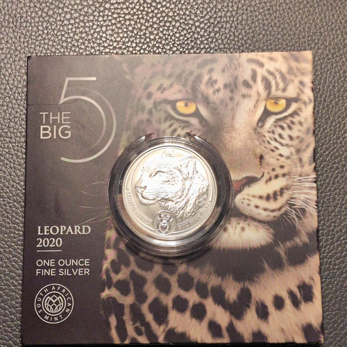 South african mint - south, big