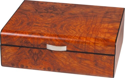 Humidor wurzelholzdekor ulme - humidor,