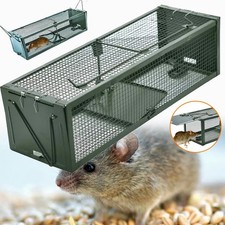 Mausefalle Rattenfalle Ratten