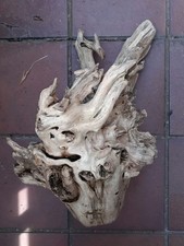 2 XL Treibholz Schwemmholz