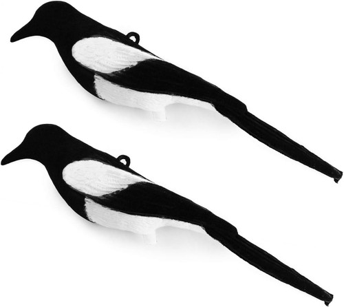 Beflockte elster - x,