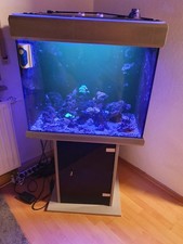 meerwasseraquarium komplett gebraucht