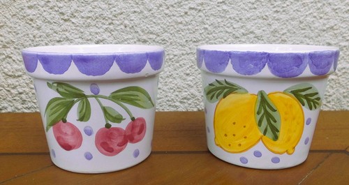 2er set blumentopf pflanztopf - blumentopf,