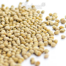 800 g Kirschkerne Kirschsteine