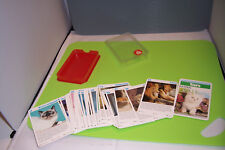 Kinder Kartenspiel Tier Quartette Katzen Katze Siam heilige Birma #102