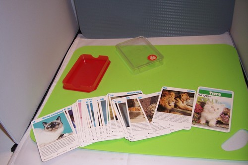Kinder kartenspiel tier - kinder,