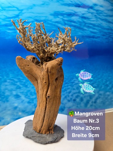 Mangroven aquarium wurzel baum - aquarium,