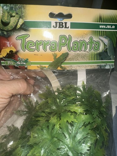 Terra planta jbl terrarium - terra,