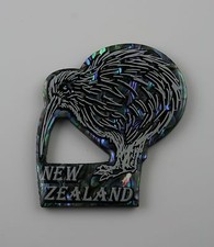 Kühlschrank Magnet  Kiwi