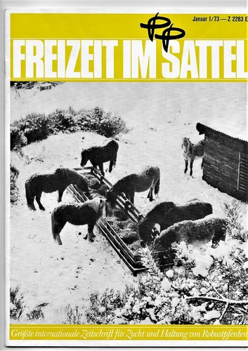 Freizeit sattel zucht und - im,