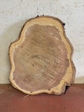 Baumscheibe Tischplatte Deko