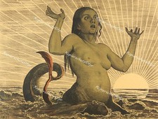 Hans Thoma Akt Erotik Nixe