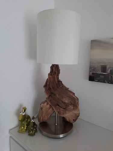 Lampe auf altem wurzelholz - auf,