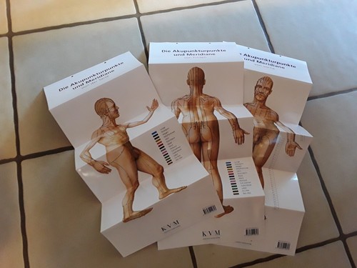 Lernposter akupunkturpunkte - lernposter:,