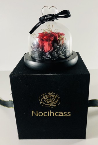 Nocihcass ewige rose - nocihcass,,