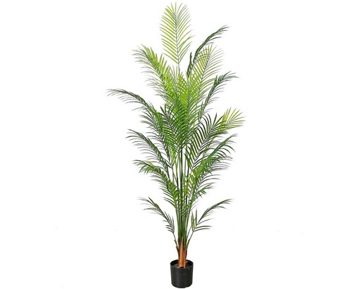 Künstliche palme areca - künstliche,