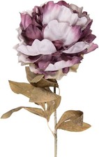 Clayre & Eef 5PL0247PA